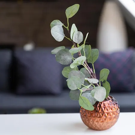 Lägenhet 800 No.1 Centrum