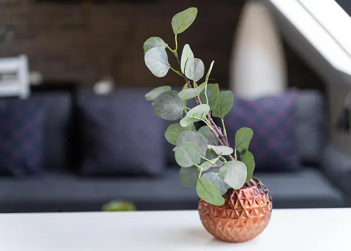 Daire 800 No.1 Centrum